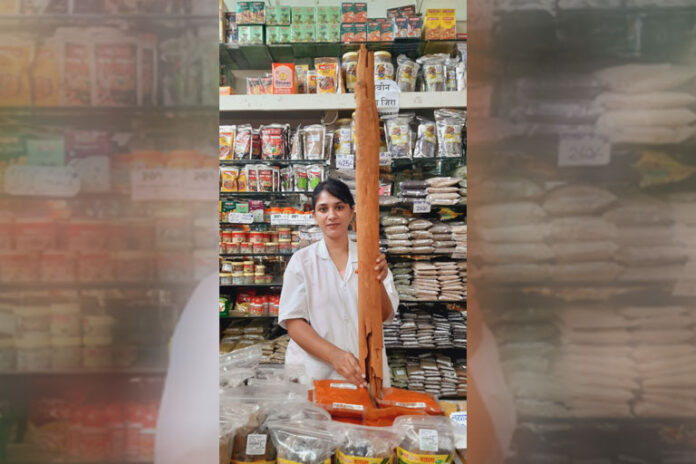 special-cinnamon-tree-is-available-in-Navjeevan-Plus