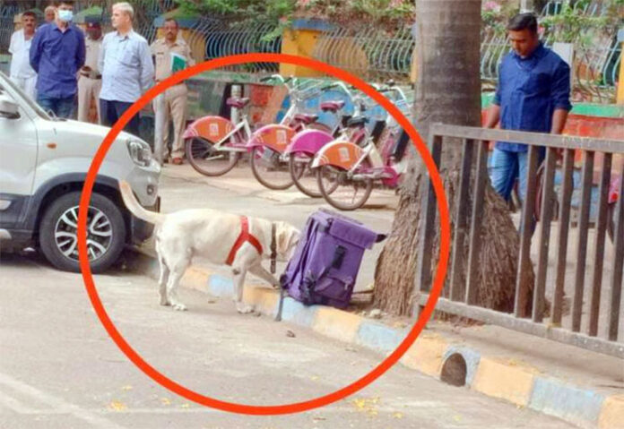 Police-rush-to-Thane-due-to-unknown-bag