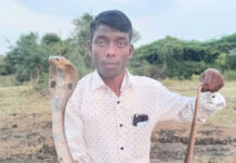 आज १६ जुलै, जागतिक सर्पदिन.! sarpmitra-prakashbhaiya-gaikwad