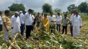 rohinitai khadse