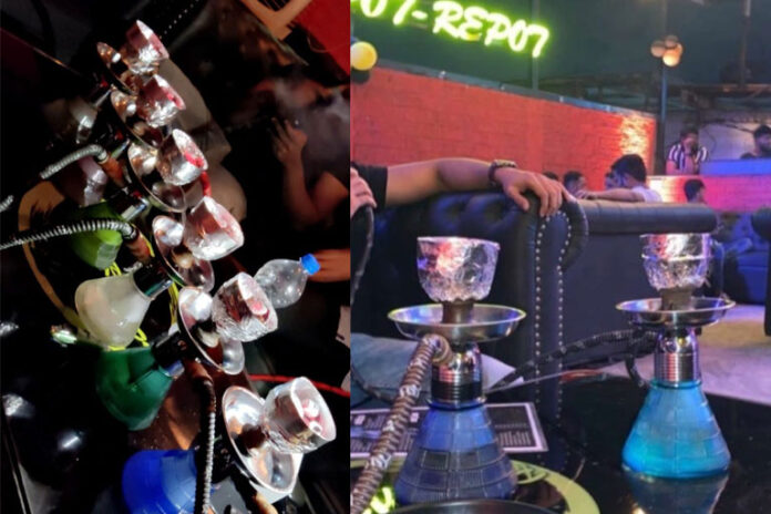 seewood-pot-repot seewood-pot-repot