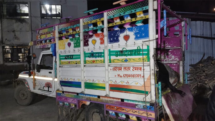 Illegal-cattle-transport-bolero-pick-up-nabbed-at-chopada
