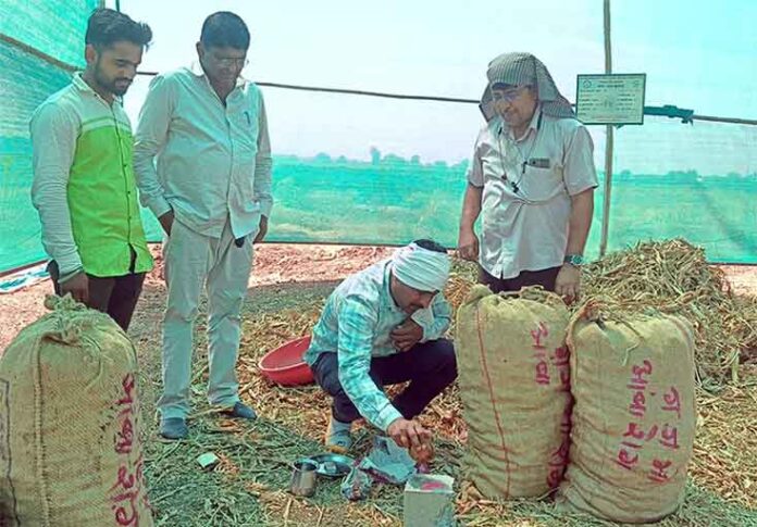 हळदी बेण्याच्या विक्रीचा शुभारंभ