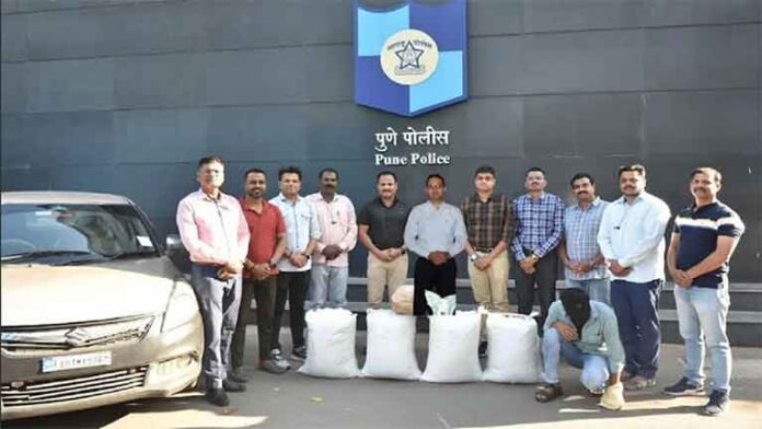 गांजा पकडला