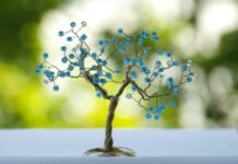 जागतिक वसुंधरा दिवस : भिशी झाडांची भिशी झाडांची