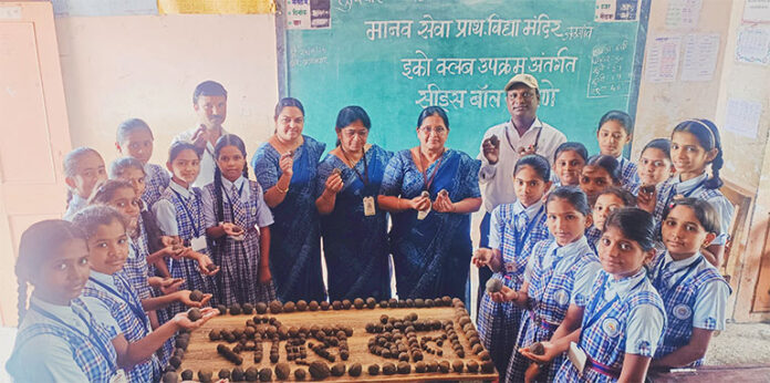 seed-boll मानव सेवा प्राथमिक