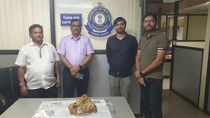 अंबरग्रीस