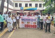 पंढरपुरात डेंग्यू, हिवताप आणि चिकनगुन्या रोखण्यासाठी पालिकेचे नागरिकांना सतर्कतेचे आवाहन डेंग्यू, हिवताप