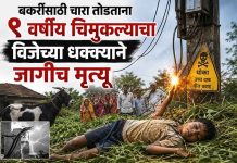 बकरींसाठी चारा तोडताना ९ वर्षीय चिमुकल्याचा विजेच्या धक्क्याने जागीच मृत्यू; आजीच्या डोळ्यांदेखत नातवाने सोडले प्राण विजेच्या धक्क्याने