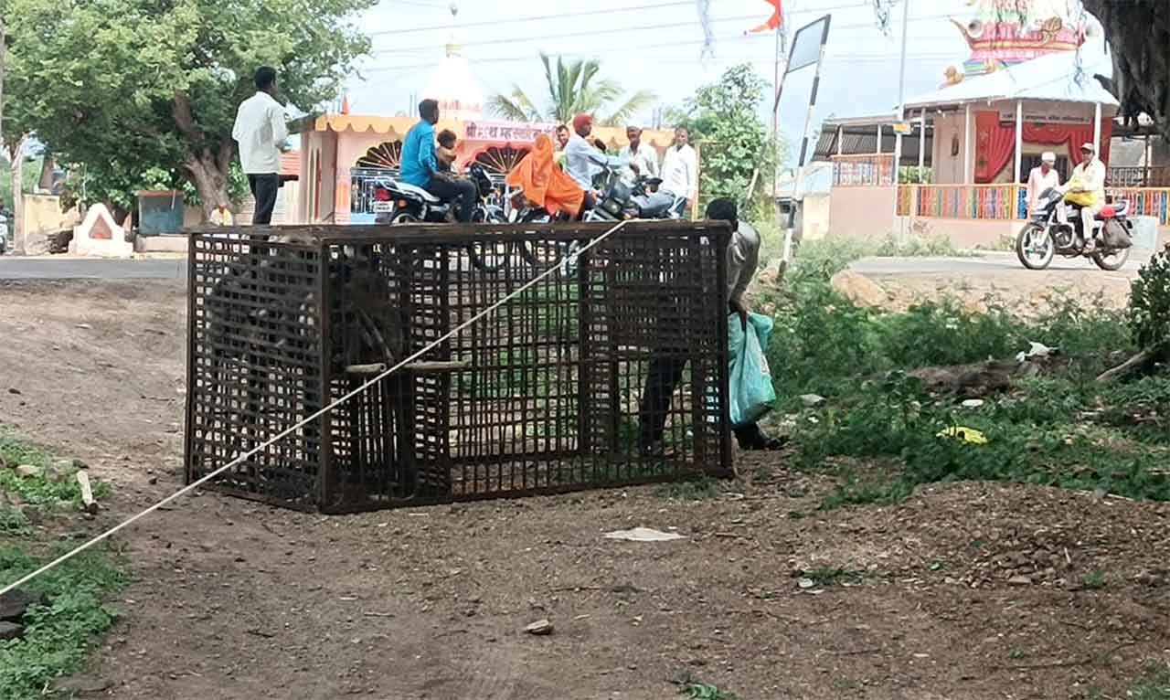 गणेशवाडी