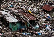 मुसळधार पावसामुळं झोपड्यांवरच कोसळला कचऱ्याचा डोंगर; २२ जणांचा जागीच मृत्यू कचऱ्याचा डोंगर
