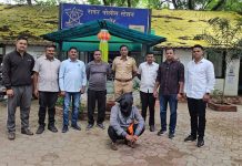 आभोडा येथे पोलिसांची मोठी कारवाई: १ लाख ४७ हजारांचा मुद्देमाल जप्त; ६०० किलो गोमांस नष्ट, एकास अटक आभोडा