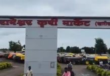 उमराणे येथील खाजगी श्री रामेश्वर कृषी मार्केटचा बाजार परवाना रद्द; पणन संचालक शरद जरे यांची कारवाई,, कांद्याचे थकित रक्कम भोवली श्री रामेश्वर कृषी मार्केट