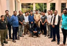 कुर्डुवाडीत स्थानिक गुन्हे शाखेची धडाकेबाज कारवाई; ६३ ग्रॅम मेफेड्रोन ड्रग्सह एक जण जेरबंद कुर्डुवाडी