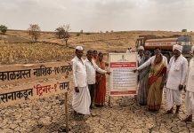 नाशिक जिल्ह्यातील १० तालुक्यांत दुष्काळ; शासनाकडून ‘ट्रिगर-१’ लागू दुष्काळ