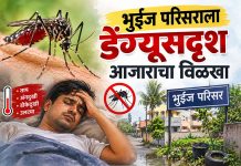 भुईंज परिसराला डेंग्यूसदृश आजाराचा विळखा; नागरिकांमध्ये भीतीचे वातावरण; बदेवाडी, देगाव, भिरडाचीवाडीसह अनेक गावांत घरोघरी रुग्ण भुईंज