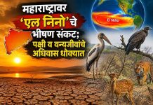 महाराष्ट्रावर ‘एल निनो’चे भीषण संकट; पक्षी व वन्यजीवांचे अधिवास धोक्यात, पक्षीमित्र राजेंद्र गाडगीळ यांचे तातडीच्या उपायांचे आवाहन एल निनो