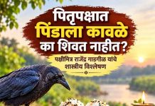 पितृपक्षात पिंडाला कावळे का शिवत नाहीत? पक्षीमित्र राजेंद्र गाडगीळ यांचे शास्त्रीय विश्लेषण पितृपक्षात