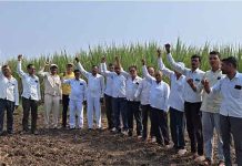 साखर व इथेनॉल दराचा तिढा सुटत नाही तोपर्यंत ऊस न देण्याचा निर्धार; स्वाभिमानी शेतकरी संघटनेचा ऊसतोड बंदीचा निर्णय स्वाभिमानी शेतकरी
