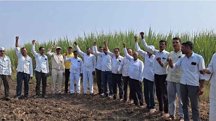 स्वाभिमानी शेतकरी